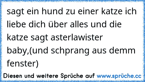 sagt ein hund zu einer katze ich liebe dich über alles und die katze sagt asterlawister baby,(und schprang aus demm fenster)