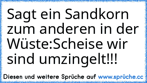 Sagt ein Sandkorn zum anderen in der Wüste:
Scheise wir sind umzingelt!!!