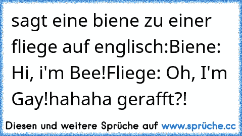 sagt eine biene zu einer fliege auf englisch:
Biene: Hi, i'm Bee!
Fliege: Oh, I'm Gay!
hahaha gerafft?!