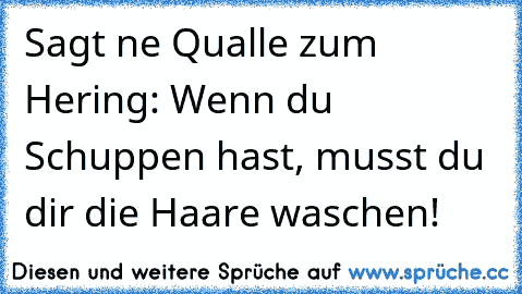 Sagt ne Qualle zum Hering: Wenn du Schuppen hast, musst du dir die Haare waschen!