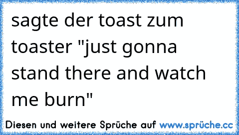 sagte der toast zum toaster "just gonna stand there and watch me burn"