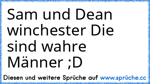 Sam und Dean winchester ♥
Die sind wahre Männer ;D