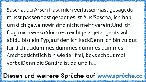 Sascha, du Arsch hast mich verlassen
hast gesagt du musst passen
hast gesagt es ist Aus!
Sascha, ich hab um dich geweint
wir sind nicht mehr vereint
Und ich frag mich wieso?
doch es reicht jetzt,
jetzt gehts voll ab!
du bist ein Typ,
auf den ich kack
Denn ich bin zu gut für dich du
dummes dummes dummes dummes Arschgesicht!
Ich bin wieder frei, boys schaut mal vorbei
Denn die Sandra ist da und h...