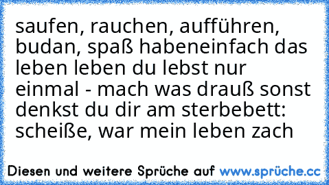 saufen, rauchen, aufführen, budan, spaß haben
einfach das leben leben 
du lebst nur einmal - mach was drauß sonst denkst du dir am sterbebett: scheiße, war mein leben zach