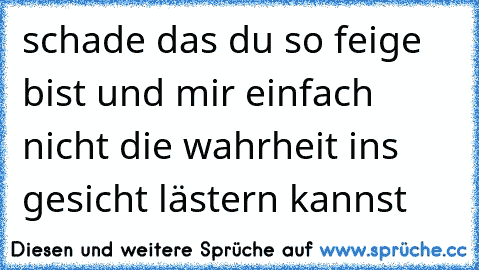 schade das du so feige bist und mir einfach nicht die wahrheit ins gesicht lästern kannst