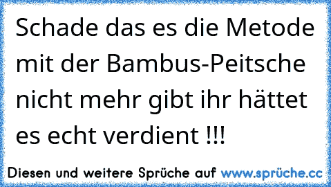 Schade das es die Metode mit der Bambus-Peitsche nicht mehr gibt ihr hättet es echt verdient !!!