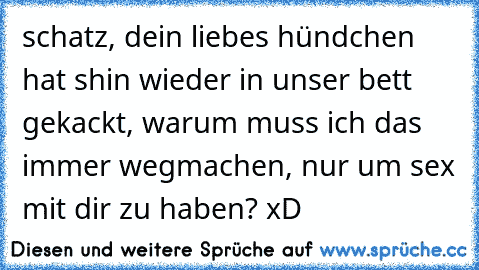 schatz, dein liebes hündchen hat shin wieder in unser bett gekackt, warum muss ich das immer wegmachen, nur um sex mit dir zu haben? xD