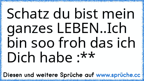 Schatz du bist mein ganzes LEBEN..Ich bin soo froh das ich Dich habe :**♥