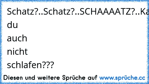 Schatz?..Schatz?..SCHAAAATZ?..Kannst du auch nicht schlafen???