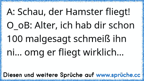 A: Schau, der Hamster fliegt! O_o
B: Alter, ich hab dir schon 100 mal
gesagt schmeiß ihn ni... omg er fliegt wirklich...