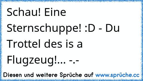 Schau! Eine Sternschuppe! :D - Du Trottel des is a Flugzeug!... -.-