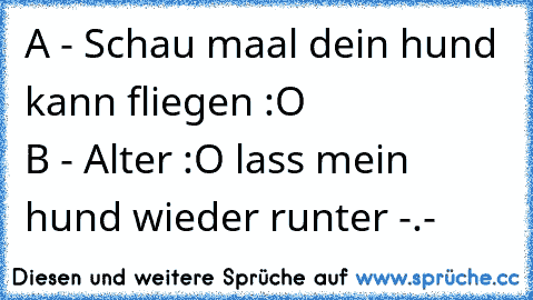 A - Schau maal dein hund kann fliegen :O                     B - Alter :O lass mein hund wieder runter -.-