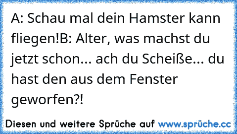 A: Schau mal dein Hamster kann fliegen!
B: Alter, was machst du jetzt schon... ach du Scheiße... du hast den aus dem Fenster geworfen?!