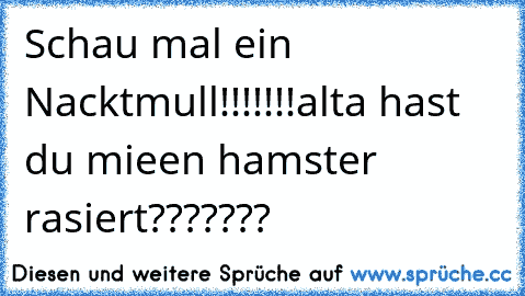 Schau mal ein Nacktmull!!!!!!!
alta hast du mieen hamster rasiert???????