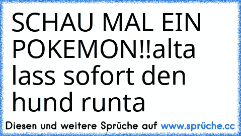 SCHAU MAL EIN POKEMON!!
alta lass sofort den hund runta