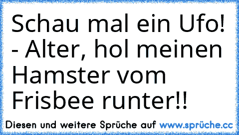 Schau mal ein Ufo! - Alter, hol meinen Hamster vom Frisbee runter!!