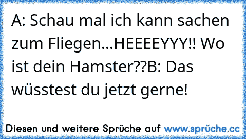 A: Schau mal ich kann sachen zum Fliegen...HEEEEYYY!! Wo ist dein Hamster??
B: Das wüsstest du jetzt gerne!