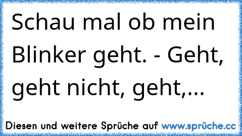 Schau mal ob mein Blinker geht. - Geht, geht nicht, geht,...