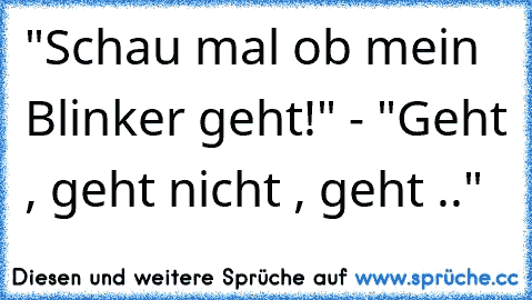 "Schau mal ob mein Blinker geht!" - "Geht , geht nicht , geht .."