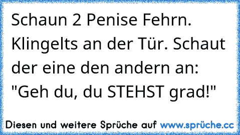 Schaun 2 Penise Fehrn. Klingelts an der Tür. Schaut der eine den andern an: "Geh du, du STEHST grad!"