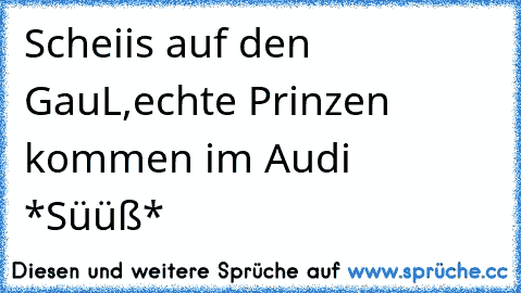 Scheiis auf den GauL,echte Prinzen kommen im Audi *Süüß*