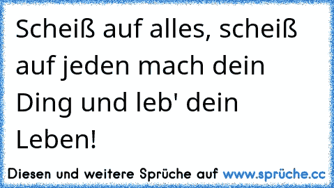 Scheiß auf alles, scheiß auf jeden mach dein Ding und leb' dein Leben!