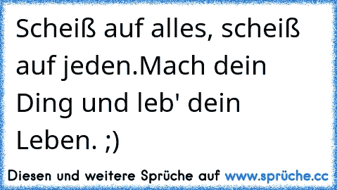 Scheiß auf alles, scheiß auf jeden.
Mach dein Ding und leb' dein Leben. ;)