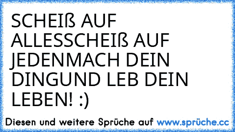 SCHEIß AUF ALLES
SCHEIß AUF JEDEN
MACH DEIN DING
UND LEB DEIN LEBEN! :)