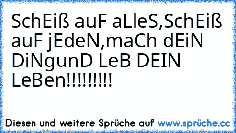 SchEiß auF aLleS,
SchEiß auF jEdeN,
maCh dEiN DiNg
unD LeB DEIN LeBen!!!!!!!!!