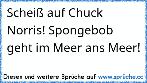 Scheiß auf Chuck Norris! Spongebob geht im Meer ans Meer!