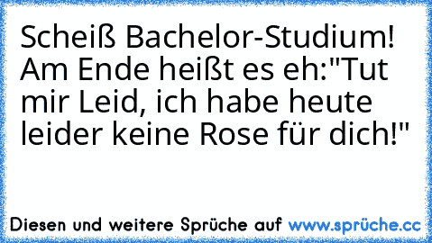 Scheiß Bachelor-Studium! Am Ende heißt es eh:
"Tut mir Leid, ich habe heute leider keine Rose für dich!"