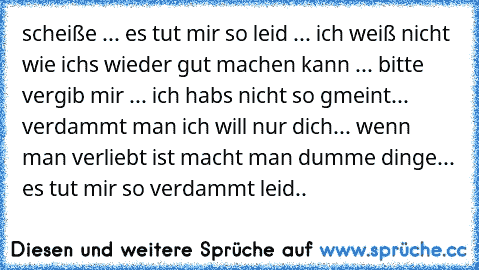 scheiße ... es tut mir so leid ... ich weiß nicht wie ichs wieder gut machen kann ... bitte vergib mir ... ich habs nicht so gmeint... verdammt man ich will nur dich... wenn man verliebt ist macht man dumme dinge... es tut mir so verdammt leid..