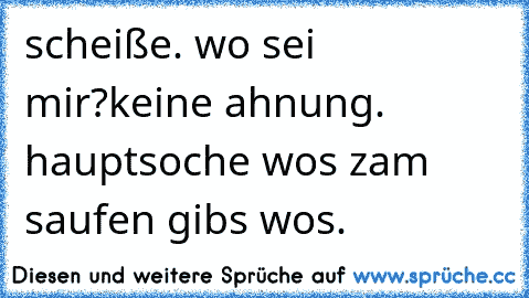 scheiße. wo sei mir?
keine ahnung. hauptsoche wos zam saufen gibs wos.