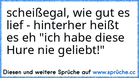 scheißegal, wie gut es lief - hinterher heißt es eh "ich habe diese Hure nie geliebt!"