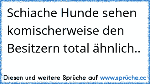 Schiache Hunde sehen komischerweise den Besitzern total ähnlich..