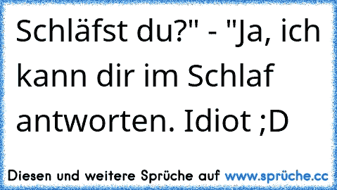 Schläfst du?" - "Ja, ich kann dir im Schlaf antworten. Idiot ;D