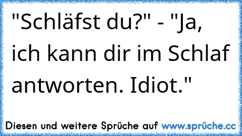 "Schläfst du?" - "Ja, ich kann dir im Schlaf antworten. Idiot."