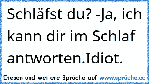 Schläfst du? -Ja, ich kann dir im Schlaf antworten.Idiot.