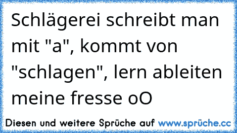 Schlägerei schreibt man mit "a", kommt von "schlagen", lern ableiten meine fresse oO