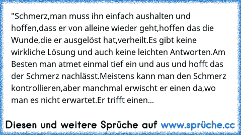 "Schmerz,man muss ihn einfach aushalten und hoffen,dass er von alleine wieder geht,hoffen das die Wunde,die er ausgelöst hat,verheilt.Es gibt keine wirkliche Lösung und auch keine leichten Antworten.
Am Besten man atmet einmal tief ein und aus und hofft das der Schmerz nachlässt.
Meistens kann man den Schmerz kontrollieren,aber manchmal erwischt er einen da,wo man es nicht erwartet.Er trifft einen...