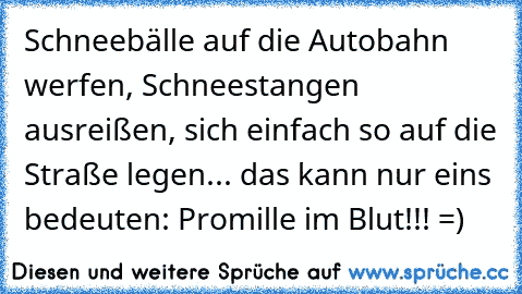 Schneebälle auf die Autobahn werfen, Schneestangen ausreißen, sich einfach so auf die Straße legen... das kann nur eins bedeuten: Promille im Blut!!! =)