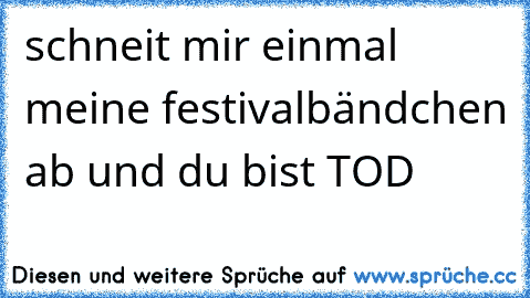 schneit mir einmal meine festivalbändchen ab und du bist TOD