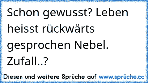 Schon gewusst? Leben heisst rückwärts gesprochen Nebel. Zufall..?