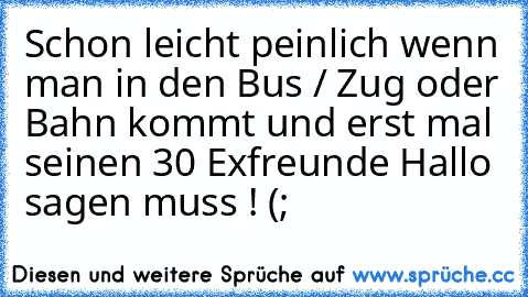 Schon leicht peinlich wenn man in den Bus / Zug oder Bahn kommt und erst mal seinen 30 Exfreunde Hallo sagen muss ! (;