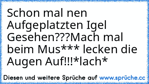 Schon mal nen Aufgeplatzten Igel Gesehen???
Mach mal beim Mus*** lecken die Augen Auf!!!
*lach*