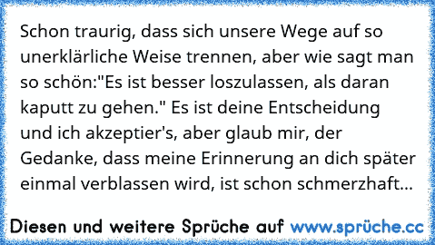 Schon traurig, dass sich unsere Wege auf so unerklärliche Weise trennen, aber wie sagt man so schön:"Es ist besser loszulassen, als daran kaputt zu gehen." Es ist deine Entscheidung und ich akzeptier's, aber glaub mir, der Gedanke, dass meine Erinnerung an dich später einmal verblassen wird, ist schon schmerzhaft...