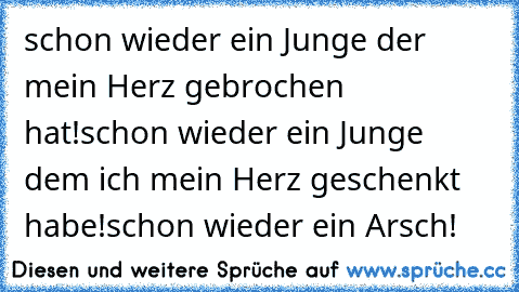 schon wieder ein Junge der mein Herz gebrochen hat!schon wieder ein Junge dem ich mein Herz geschenkt habe!schon wieder ein Arsch!