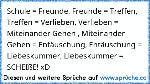 Schule = Freunde, Freunde = Treffen, Treffen = Verlieben, Verlieben = Miteinander Gehen , Miteinander Gehen = Entäuschung, Entäuschung = Liebeskummer, Liebeskummer = SCHEIßE! xD