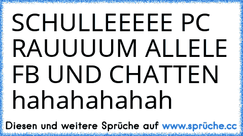 SCHULLEEEEE PC RAUUUUM ALLELE FB UND CHATTEN hahahahahah