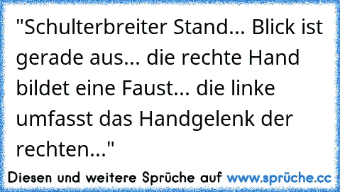 "Schulterbreiter Stand... Blick ist gerade aus... die rechte Hand bildet eine Faust... die linke umfasst das Handgelenk der rechten..."